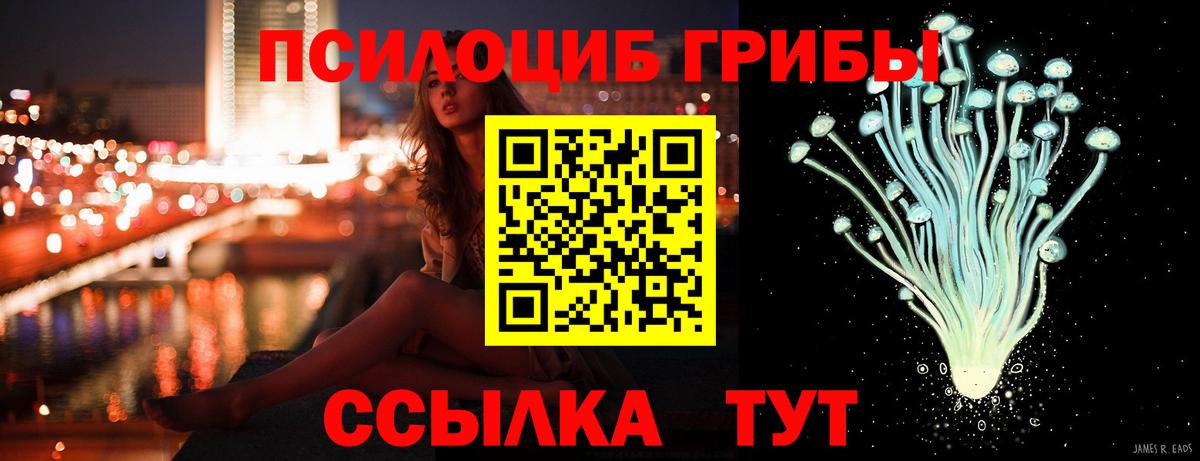 Галлюциногенные грибы Cubensis  купить   Галлюциногенные грибы мицелий  Татарск  Вход с VPN 